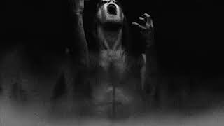 Taake - Doedsjarl