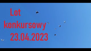 Lot konkursowy 23 04 2023