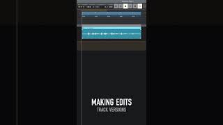 Track Versions in LUNA #short