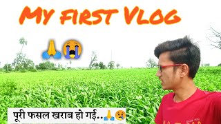 My First Vlog ❤ | My first Video in youtube | farmer life |