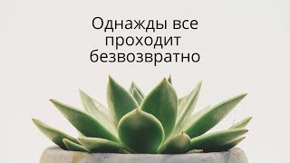 СТИХИ.  Однажды все проходит безвозвратно. Красивые стихи.