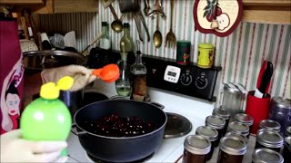 Bexar's Canned Cherry Sauce