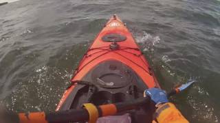 Kayaking Buzzards Bay Area