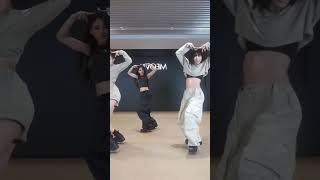 Meow - Meovv dance practice MIRRORED |#meow #meovv #blacklabel #dance