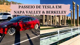 roteiro de 1 dia em Napa Valley e Berkeley e como alugar um Tesla | Rota highway 1 Califórnia