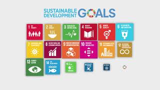 The Global Goals & Business | Global Goals