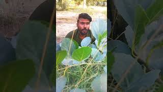 funny clip funny comedy Roshan Sindhi amazing comedy 😄😄😄😄🤣🤣🤣🤣☘️☘️🪴🪴🌿🌱🌱🌱🌱🌱💐💐