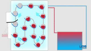 CBF1000 Product flow