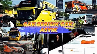 BUS AKAP, BUS PARIWISATA RAMAI-RAMAI PASANG KLAKSON TELOLET BASURI, PAKISTAN, ALZIFA REMIX