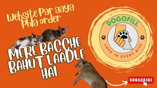 Day 26 | Phla hi Website order CANCEL karna pda | Ye pyaar krwane ka wait krte hai | DOGOFILL