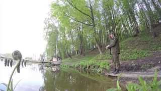 Ловля форели на платнике / area fishing