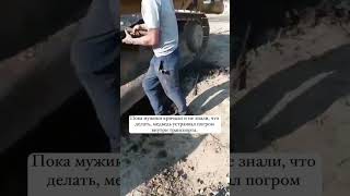 "Отдай бульдозер!" - в Иркутской области медведь пробрался в кабину спецтехник  #бульдозер