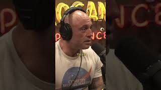 Having a Good Education - Joe Rogan & Konstantin Kosin