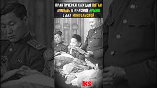 КАК Монголы помогали в ВОВ? #shortshistory Краткая история #history #shorts