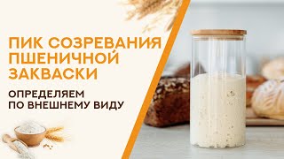 Как определить пик созревания пшеничной закваски и для чего это нужно?