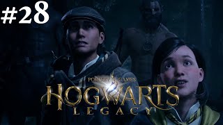 Hogwarts Legacy #28 || PS4 || What Do You Think You're Doing Here, Humans?