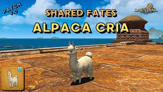 Alpaca Cria - Minion Showcase | FFXIV Shared FATES Reward