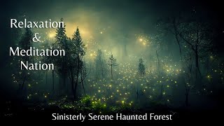 Sinisterly Serene : An Enchanted Forest with a Dark Secret | Haunting Halloween Ambience