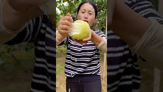 Awesome sweet pear fruit tree enjoy picking very fresh #satisfying #fresh #pear #harvest