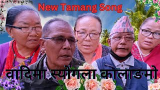 वादिमा स्योंगला कालाङमो ||New Fapare Selo Juhari 2080 ||New Tamang Selo Song 2023||