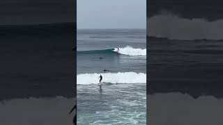 SURFERS SURFING WAVES