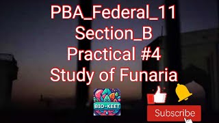 PBA_Federal_11| Section _B| Practical #4| Study & observation of Funaria & Marchantia