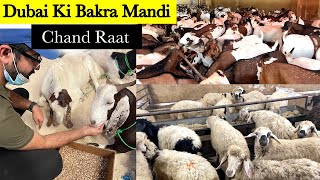 Dubai Bakra Mandi | Cheapest Cattle Market In Dubai | Chand Raat In Dubai | Buying Goats Vlog