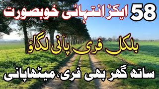 Low Price Land For Sale in Punjab || Agriculture Land For Sale ||Azhar Jahangir official