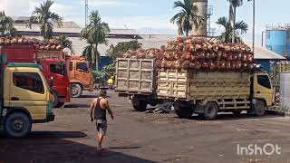 hati ini 18/09/2024 harga sawit turun, rp 2615/kg