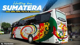 Menjelang siang hari di dominasi oleh bis-bis ke sumatera | Hunting Bus Kp.Rambutan