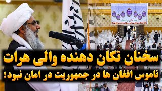 سخنان تکان دهنده والی هرات در مورد بی کفایتی جمهوریت