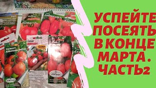 Успейте посеять в конце марта. ЗАВАЛЯТ УРОЖАЕМ. ЧАСТЬ 2