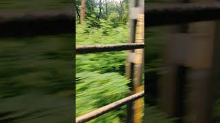 window seat💚✨ #railways #travel #green