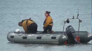 What It Looked Like in 2012 - Swimmers Preparing for Tynemouth RNLI Boxing Day Dip 2012