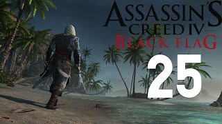 Полное прохождение на 100% ► Assassin’s Creed IV: Black Flag ► Удачный захват кораблей/Засада ► #25