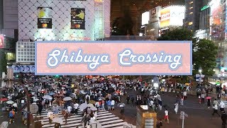 📸 SHIBUYA CROSSING IN TOKYO AT NIGHT Tokyo Guide 2020🚖渋谷交差点