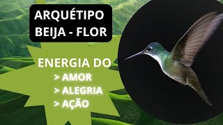 🟢  BEIJA FLOR - O QUE ESPERAR DESSE ARQUÉTIPO?