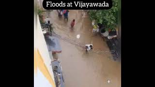 Flood Water at Vijayawada #shortsfeed #shorts #short #like #subscribe #rain #water #youtubeshorts