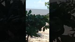 LINDA ILHA DE MARAJÓ, PRAIA GRANDE, PORTA DE PEDRAS, VÍDEO COMPLETA, DSL OLHANDO A CIDADE,4k (2024)