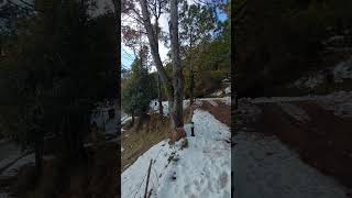 Unseen Resort Muree #shortsvideo #travel