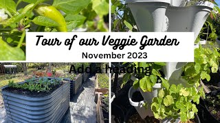 Tour of our Organic Vegetable Garden November. Zone 9 10