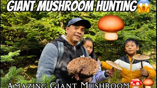 Amazing Mushroom(Part 1) 4k video🍄‍🟫Giant Mushroom Hunting😱. Adventure in the forest,