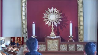 Santo Rosario - Adoración Eucaristica Perpetua en VIVO - Perpetual Adoration LIVE