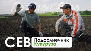 Сев кукурузы и подсолнечника | Полигон Агро