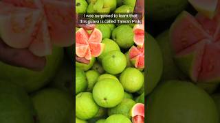 Guava frut in mayni Maharashtra / guava is called Taiwan Pink