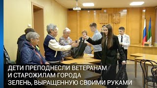 Дети преподнесли ветеранам и старожилам города зелень, выращенную своими руками