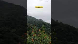 Dehradun view from Mussoorie | Mussoorie Tourist Places #Shorts | Uttarakhand Status