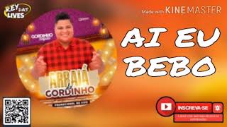 ARRAIÁ DO GORDINHO SAFADO - AI EU BEBO