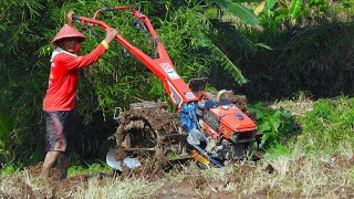 Ploughing Dirt - Drinking Coconut - Fishing  - Tractor Going Back Home