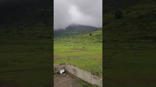 Brahmagiri hill Morning View